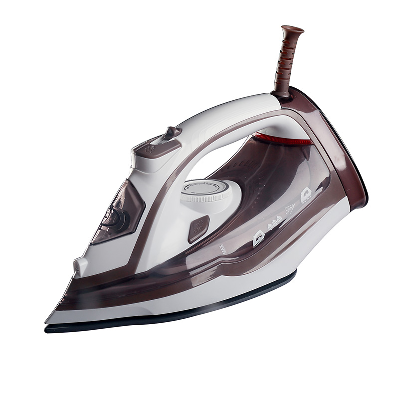 Steam Iron