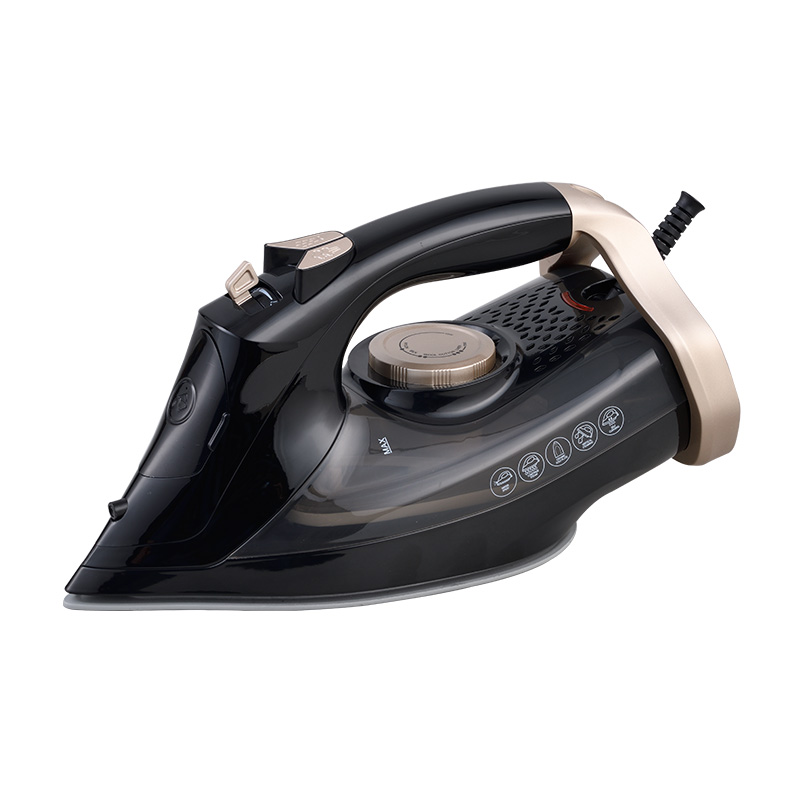 Steam Iron